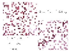 Shiny stretch satin fabric 96% polyester 4% spandex satin fabric for sleep wear